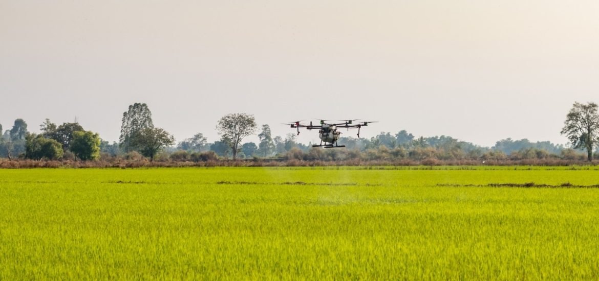 An Israeli startup is combining AI and drones to yield more fruit