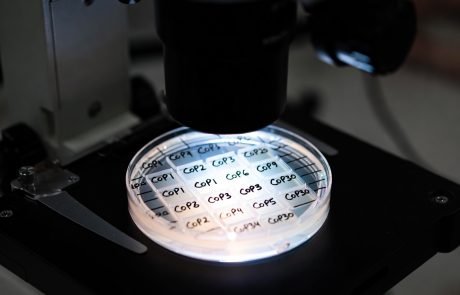 30 ans de COP au microscope, à la recherche de résultats