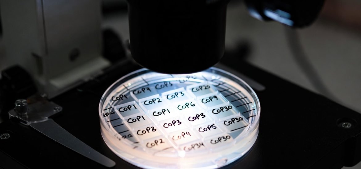 30 ans de COP au microscope, à la recherche de résultats