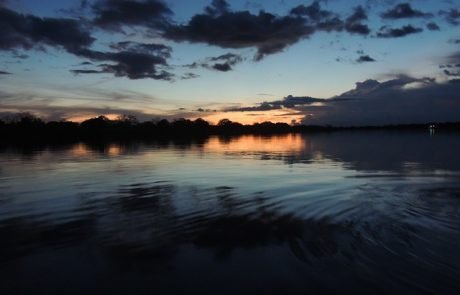 Lebensader Amazonas: Staudämme bedrohen Wanderung der Flussbewohner