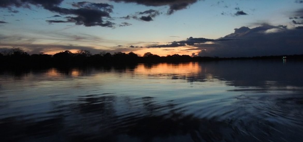 Lebensader Amazonas: Staudämme bedrohen Wanderung der Flussbewohner