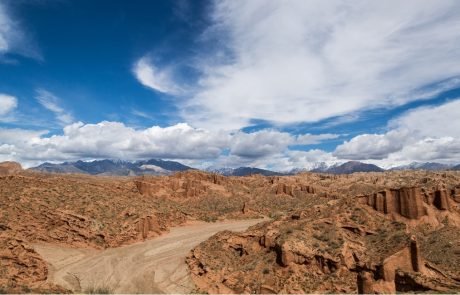 A panel of influential scientists vote to recognise Anthropocene