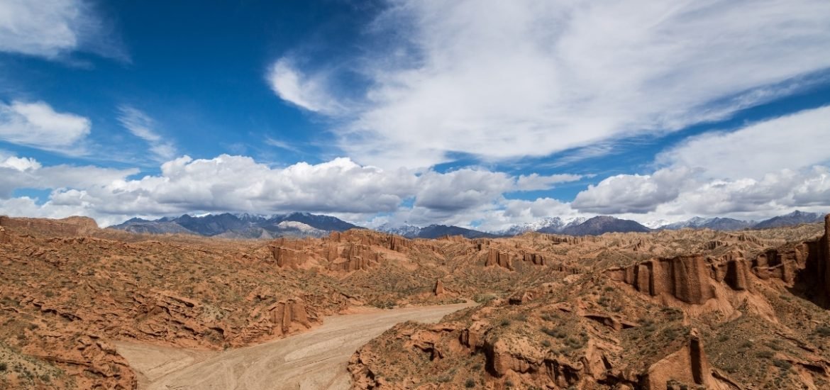 A panel of influential scientists vote to recognise Anthropocene