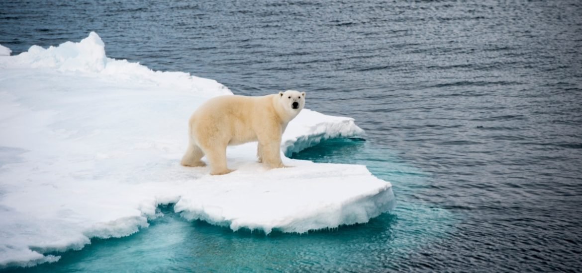 Arctic ice is melting too quickly and disrupting the Transpolar Drift