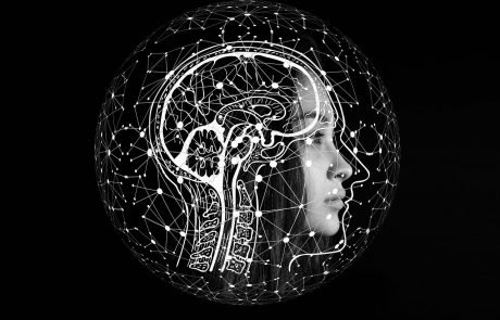 Weichmacher können gravierende Auswirkungen auf Signalweiterleitung im Gehirn haben