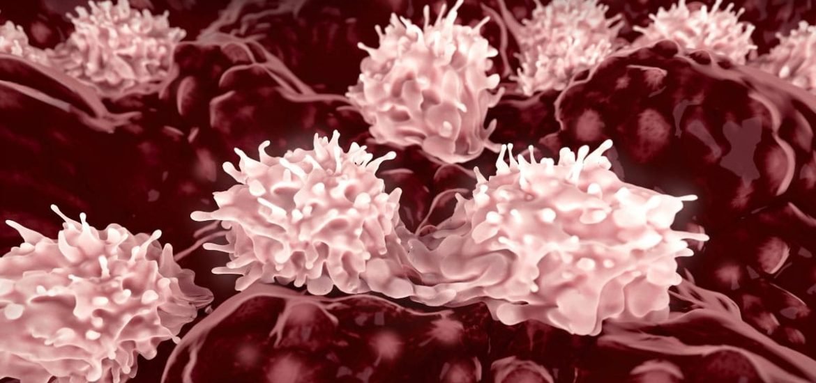 A simple ingredient can help grow huge quantities of blood stem cells