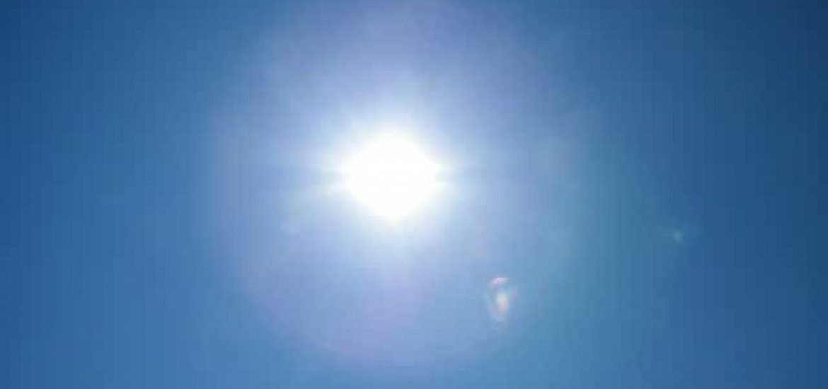 Studie: Zu viel Sonnenlicht im Winter ist für Marimo Algenbälle tödlich