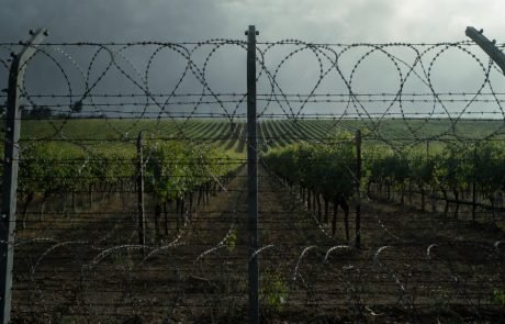 « Libérons la viticulture et soyons fier de notre savoir-faire » Yves d&rsquo;Amécourt (entretien)