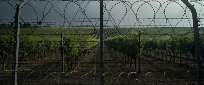 « Libérons la viticulture et soyons fier de notre savoir-faire » Yves d&rsquo;Amécourt (entretien)