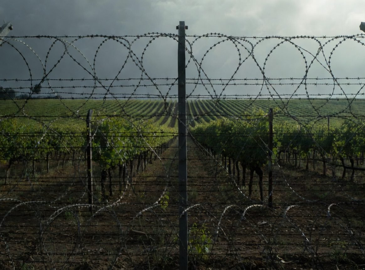 « Libérons la viticulture et soyons fier de notre savoir-faire » Yves d&rsquo;Amécourt (entretien)