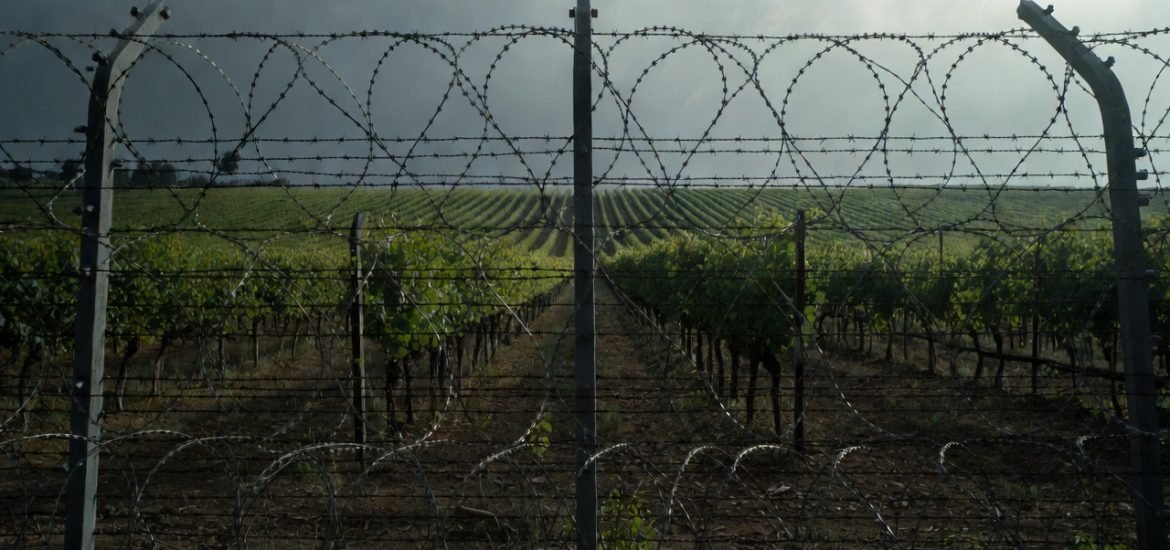 « Libérons la viticulture et soyons fier de notre savoir-faire » Yves d&rsquo;Amécourt (entretien)