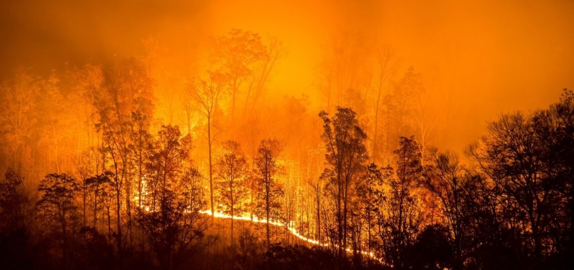 Teasing out the positives: wildfires and climate change