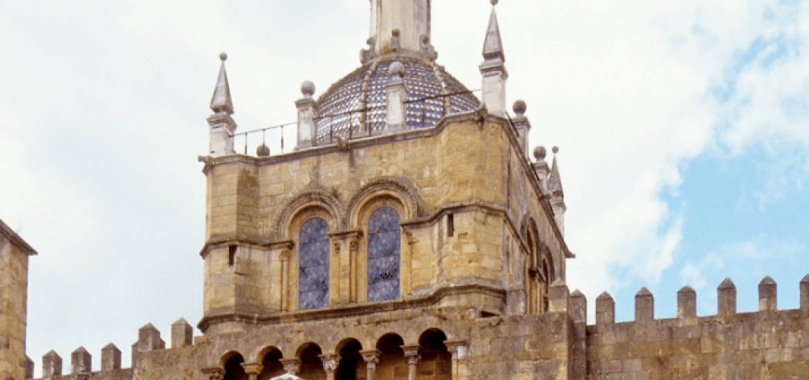 Un mystérieux champignon menace la cathédrale Velha de Coimbra au Portugal