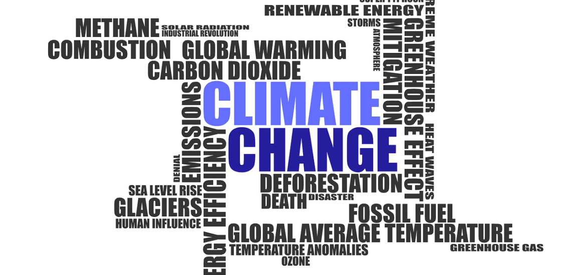 Reassessing the climate action, revisiting Baseline assumptions and avoiding ‘one-fit-all’ approach