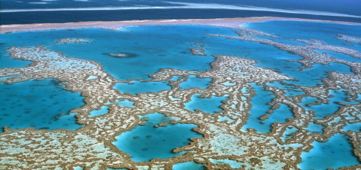Rising ocean temperatures may have detrimental effects on coral reefs at extremely low depths