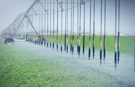 Shift crop production from water-scarce to water-abundant regions