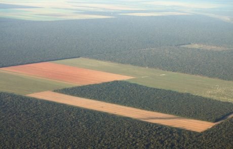 Analysis reveals tax havens are threatening the environment