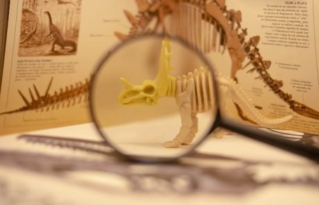 Forscher decken jahrzehntelangen Irrtum in der Paläontologie auf: Versteinertes Reptil ist größtenteils nur eine Zeichnung