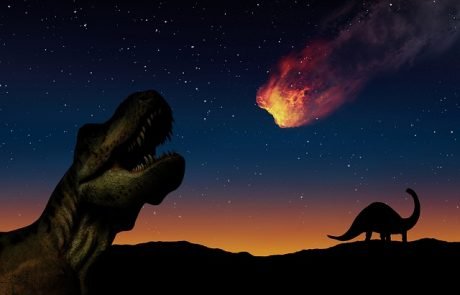 Vor 66 Millionen Jahren: Dinosaurier starben wohl im Frühjahr aus