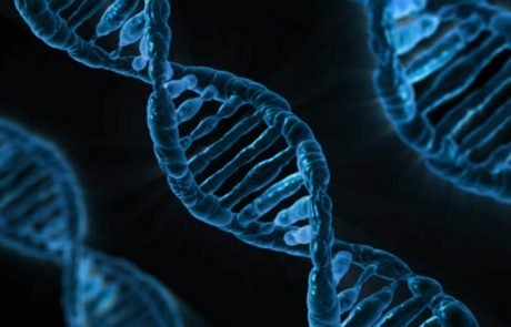 Meilenstein: X-Chromosom erstmals vollständig entschlüsselt