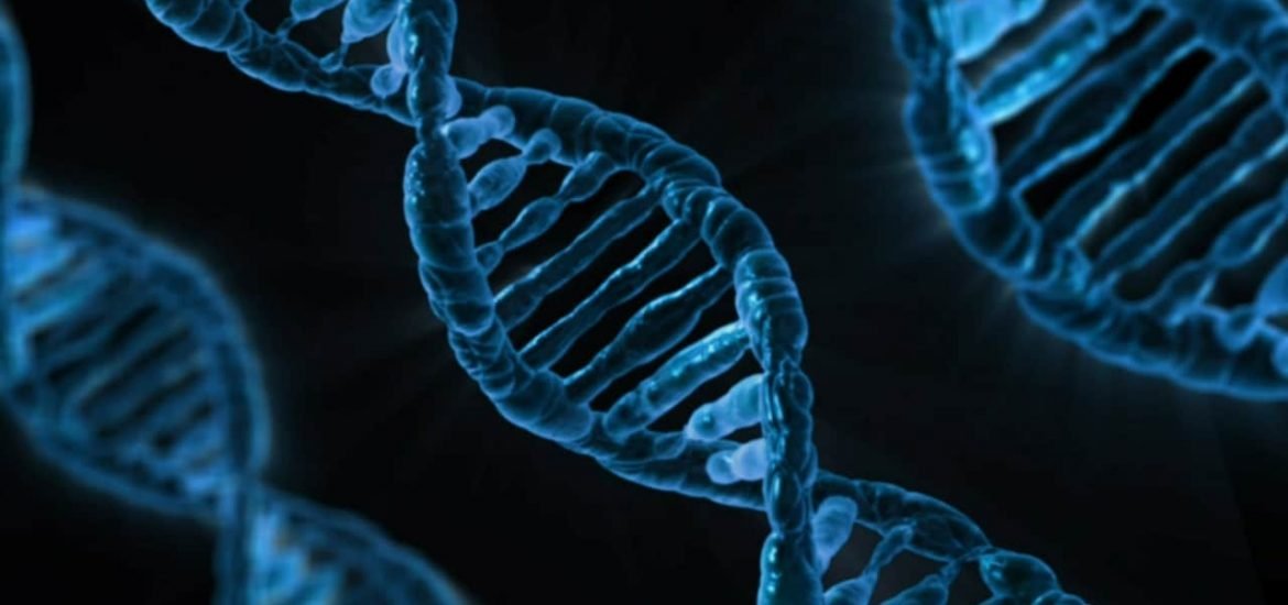 Meilenstein: X-Chromosom erstmals vollständig entschlüsselt