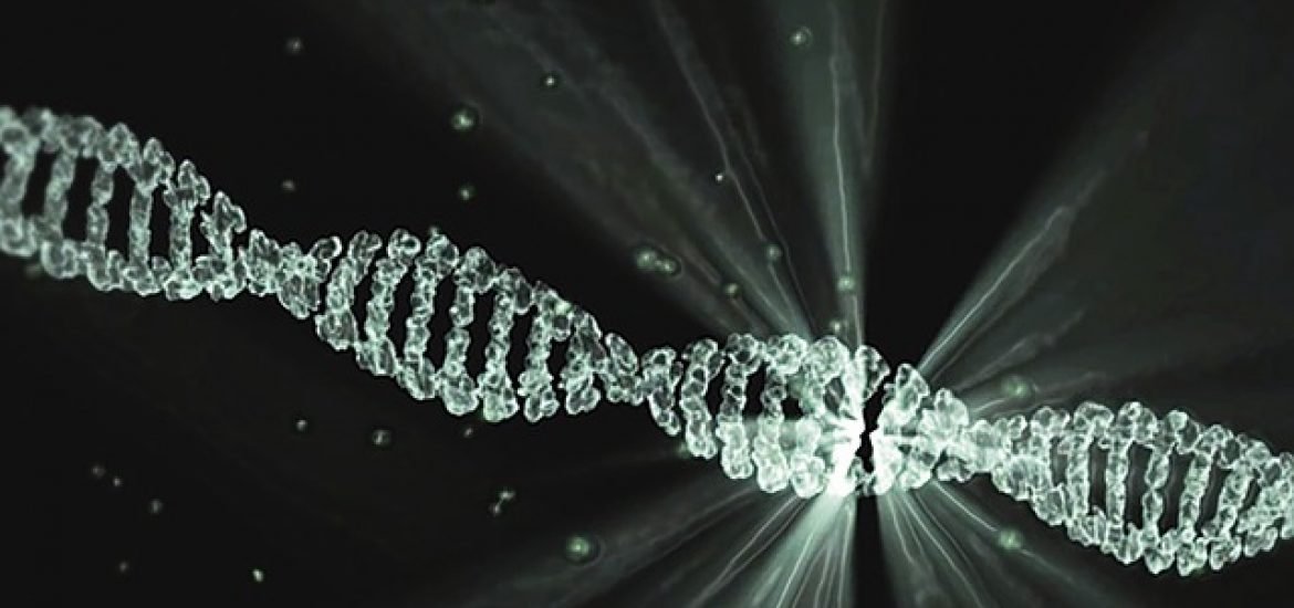 DNA-Origami: Münchner Forscherteam entwickelt Nanomotor