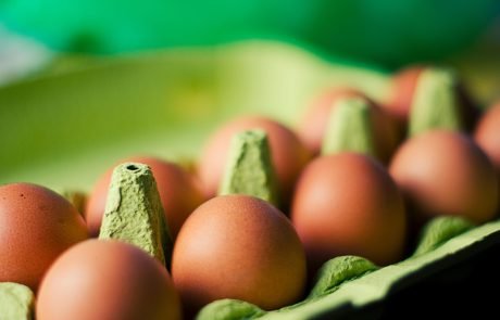 Eggs Fipronil: what if “organic” agriculture hasn’t been invented yet?