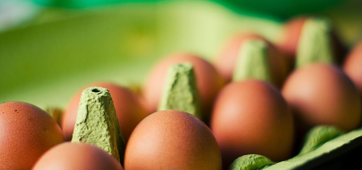 Eggs Fipronil: what if “organic” agriculture hasn’t been invented yet?