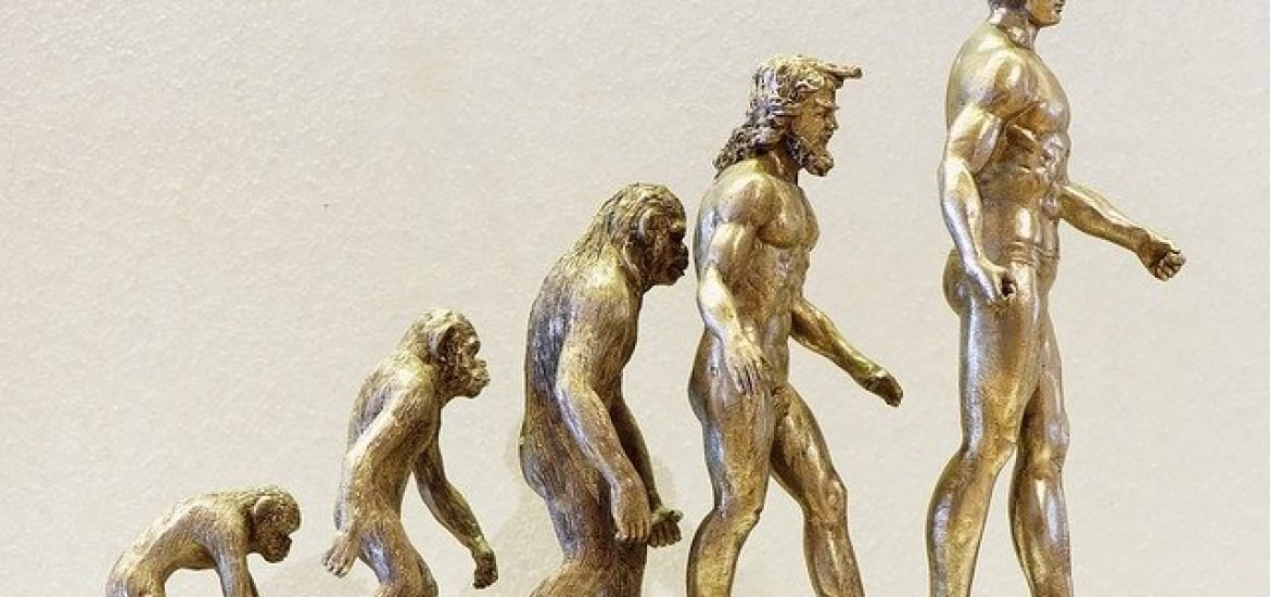Knochenfund schließt Lücke zwischen Mensch und Affe weiter