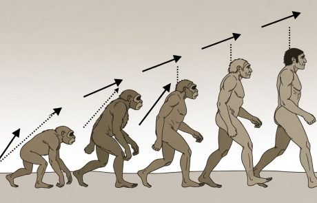 « Evolution : Il y a une tendance vers homo, on change de paradigme » Vincent Fleury (entretien)