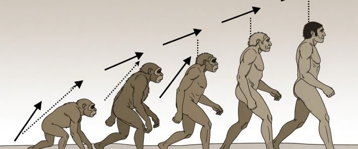« Evolution : Il y a une tendance vers homo, on change de paradigme » Vincent Fleury (entretien)
