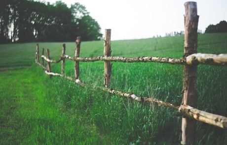 Limites de la transition agroécologique et alimentaire