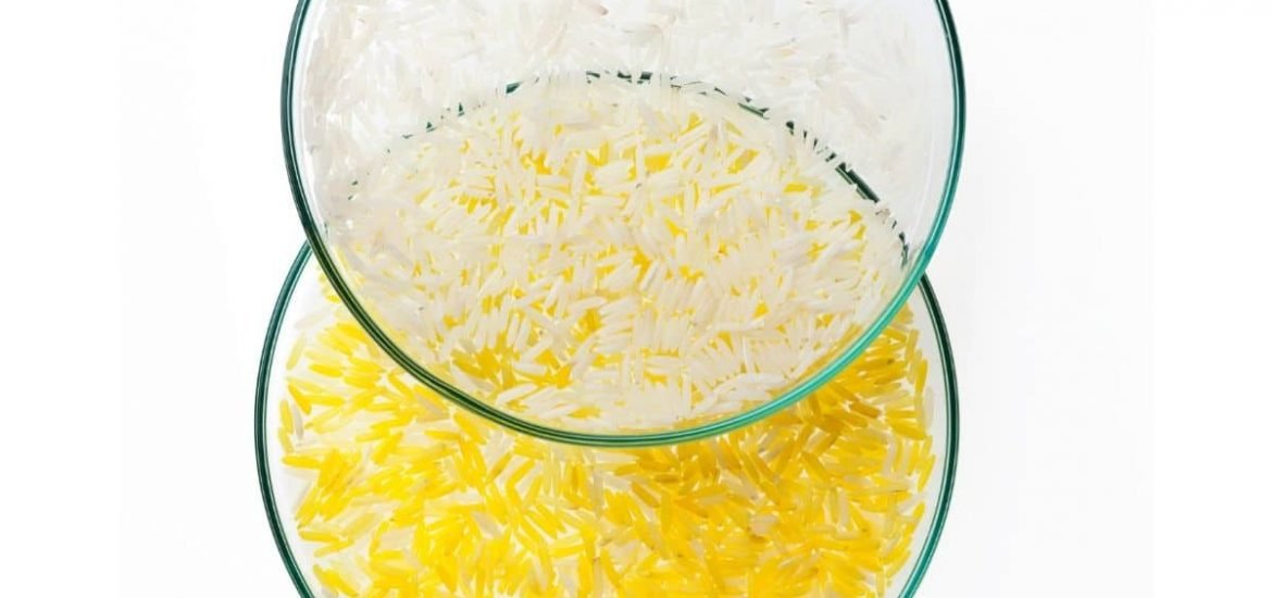 Golden rice finally on track for approval in Bangladesh, so what is the delay?