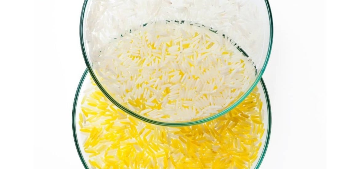 Golden rice finally on track for approval in Bangladesh, so what is the delay?