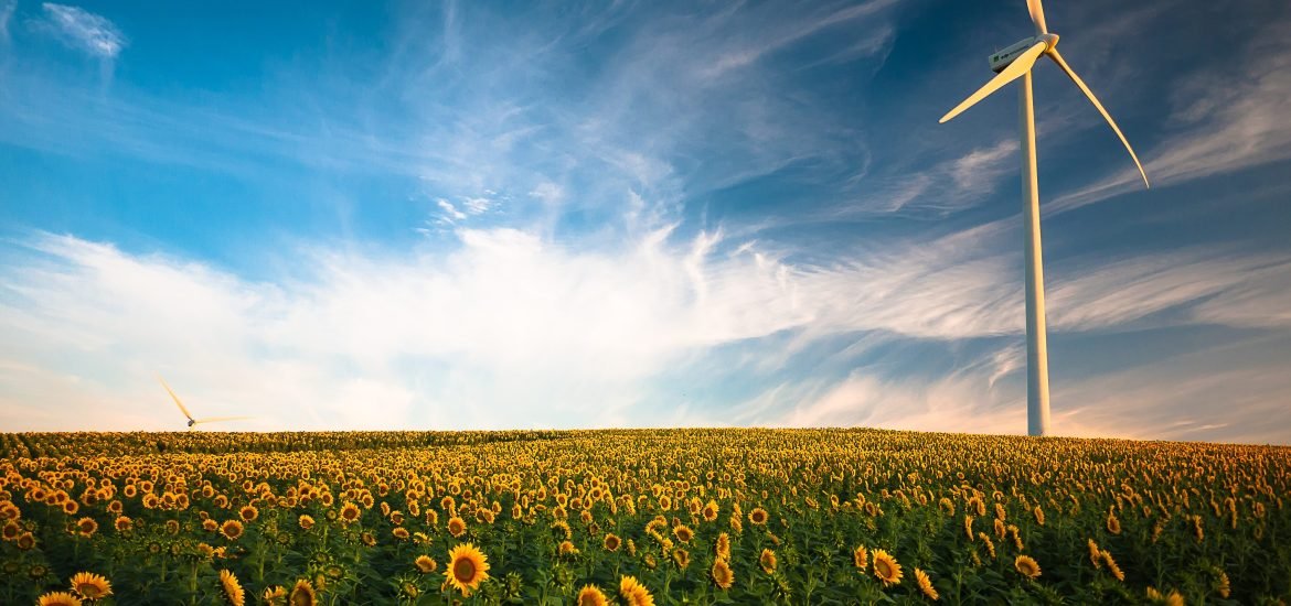 EU finalises 2030 climate targets