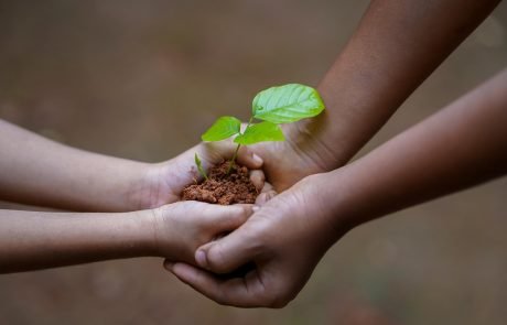 Soil Conservation Agriculture : How to help farmers accelerate the transition to avoid a famine.