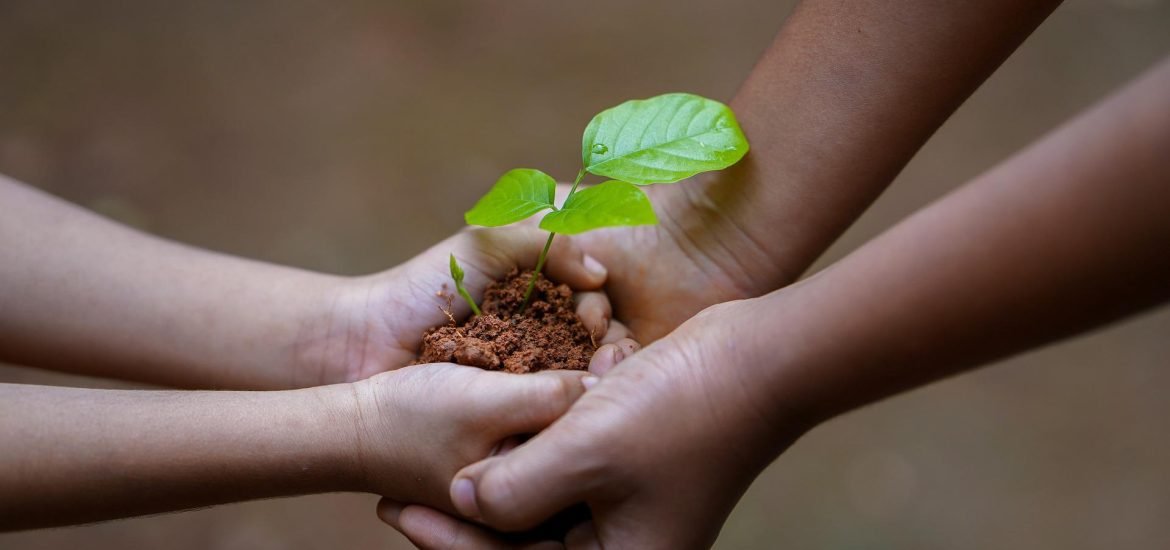 Soil Conservation Agriculture : How to help farmers accelerate the transition to avoid a famine.