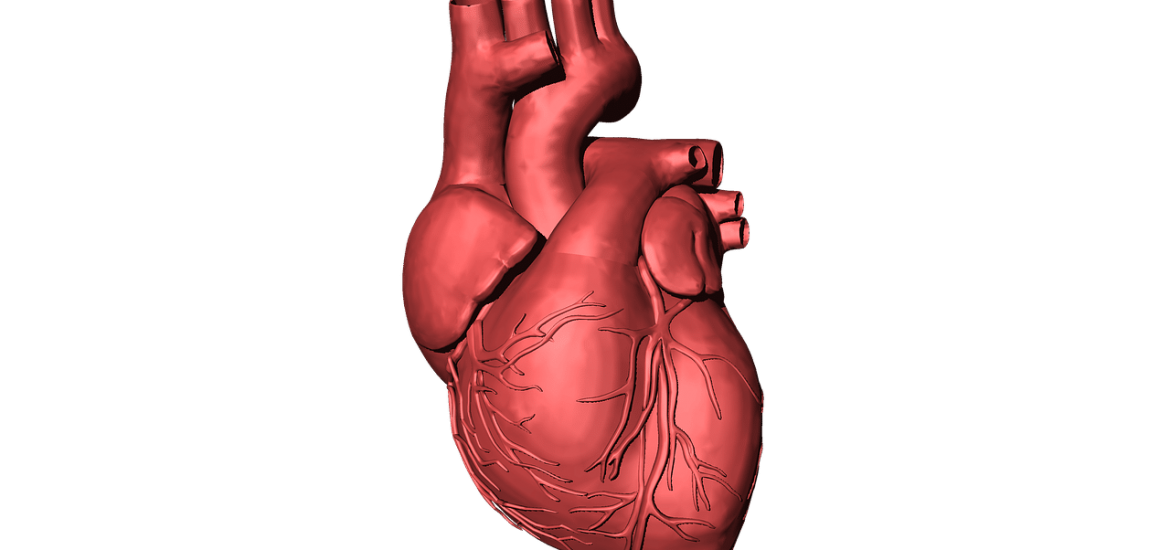 Il faut s’intéresser aux essais cliniques négatifs : oublions les cellules souches dans l’insuffisance cardiaque