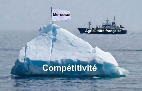 « Le Mercosur, c’est la face émergée de l’Iceberg » C. Rousseau (entretien)