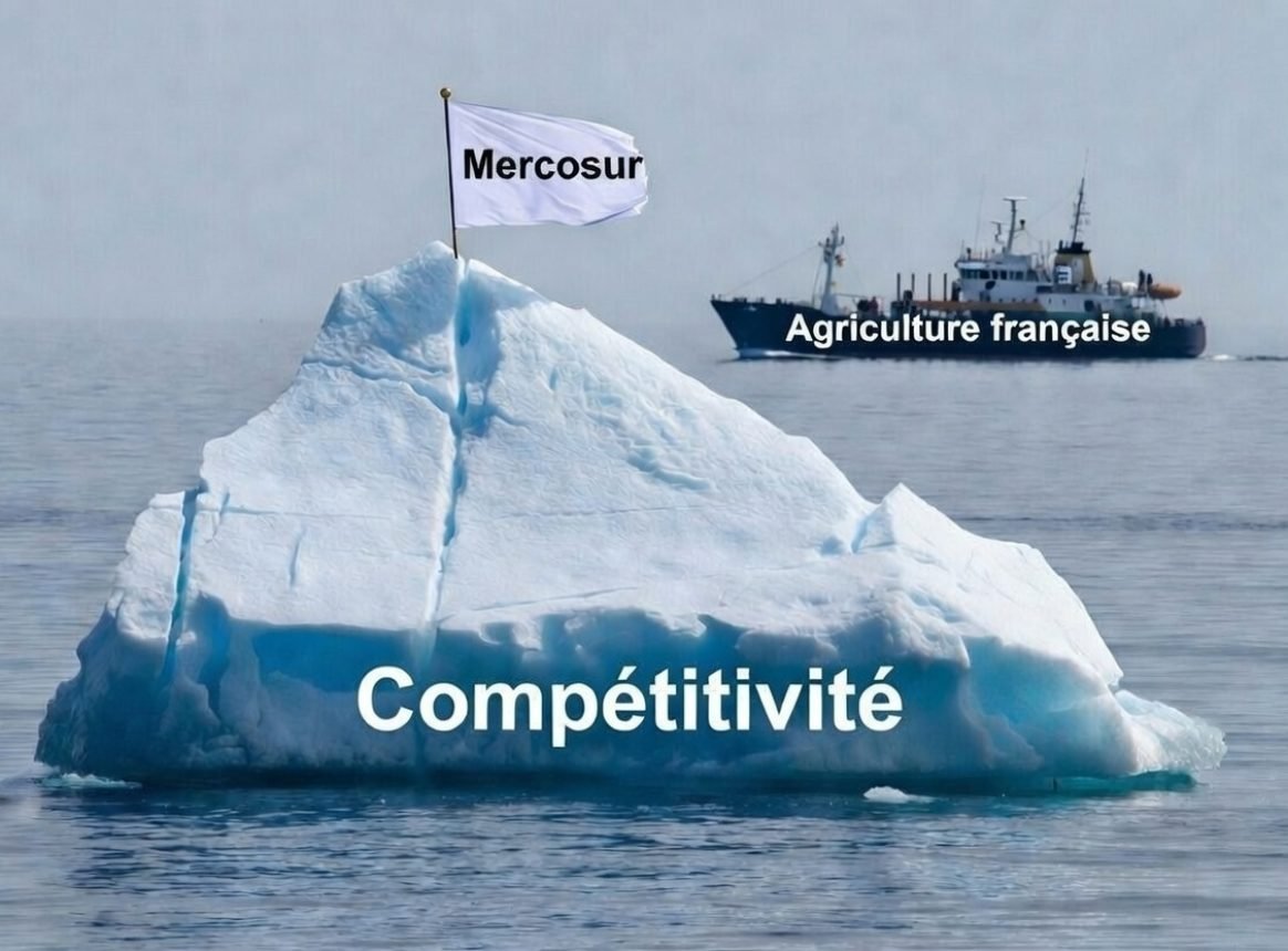 « Le Mercosur, c’est la face émergée de l’Iceberg » C. Rousseau (entretien)