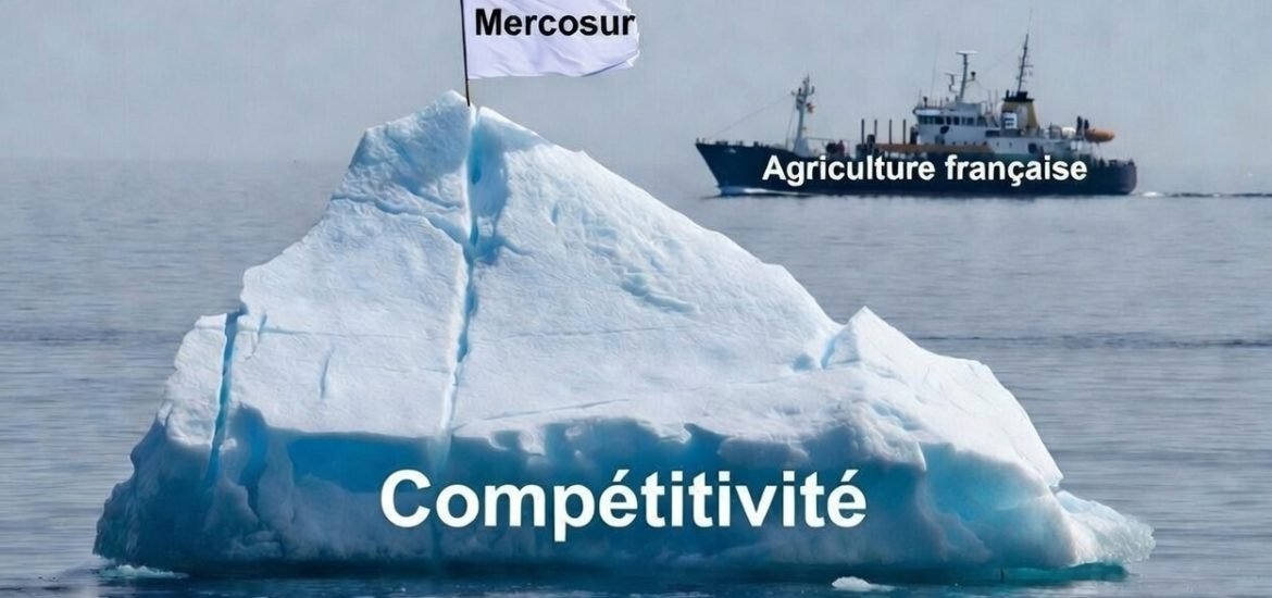 « Le Mercosur, c’est la face émergée de l’Iceberg » C. Rousseau (entretien)