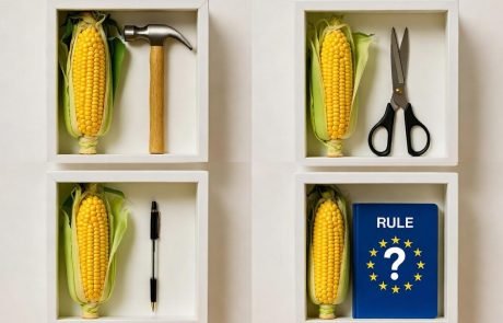 NGT : la science innove, l’UE ergote