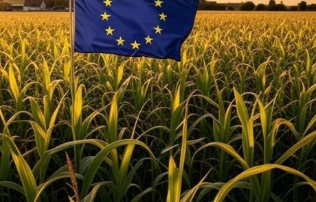 NGT : la nouvelle réglementation dans les turbulences parlementaires européennes