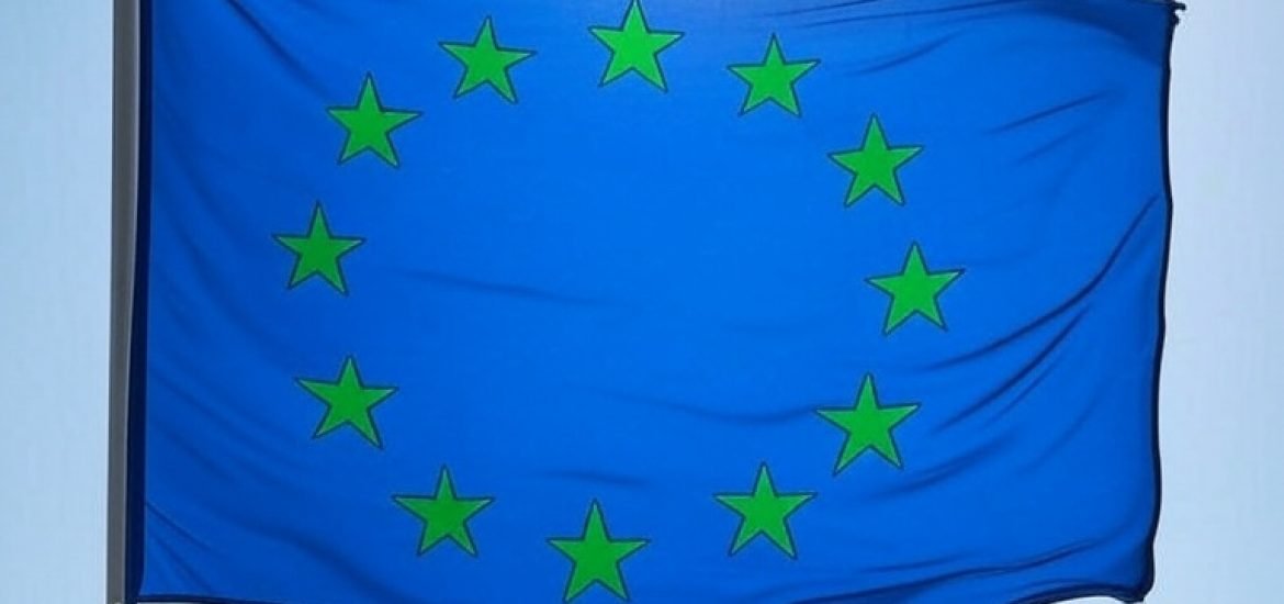 « L’UE est sous l’emprise de l’écologie politique » Thierry Godefridi (Interview)
