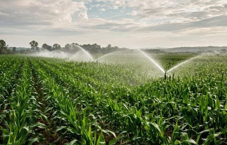« L&rsquo;irrigation mérite d&rsquo;être mieux connue des Français » Gil Rivière-Wekstein (interview)
