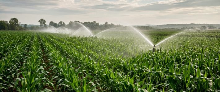 « L&rsquo;irrigation mérite d&rsquo;être mieux connue des Français » Gil Rivière-Wekstein (interview)