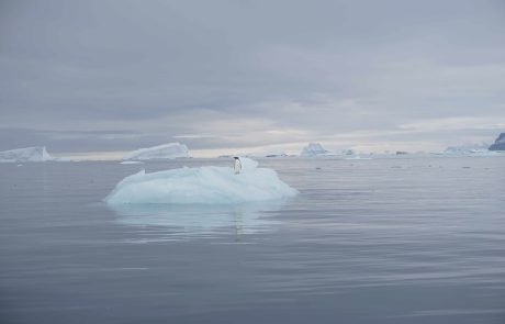 Ice in Antarctica is melting faster than ever before