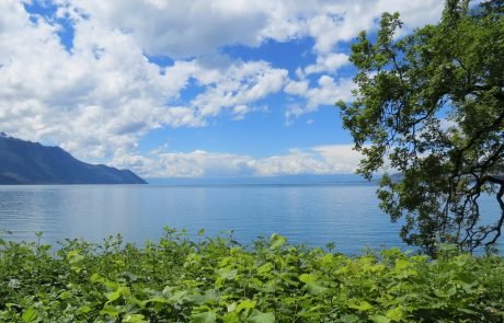 Toxic chemicals found in plastic waste in Lake Geneva