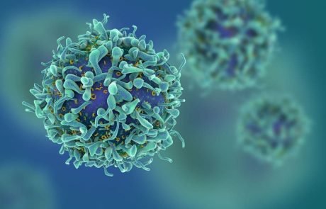 Scientists map origins of the immune system opening new doors for immunotherapies