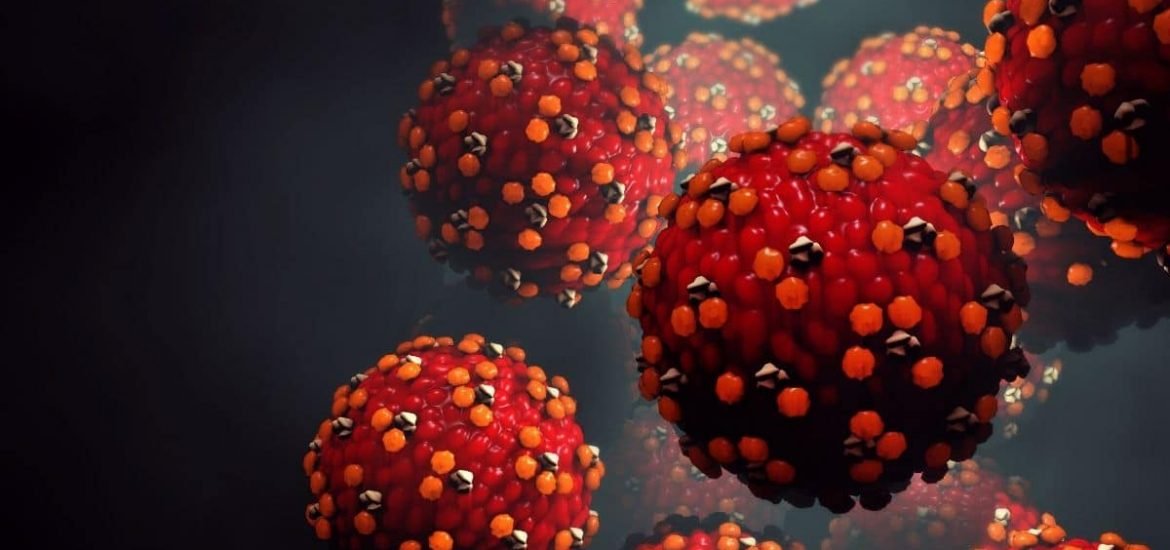 Measles virus leaves a lasting mark on the immune system